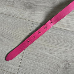 Dolce & Gabbana Pink and Gold Belt
