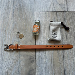 Hermes Etriviere Dog Collar Small Model