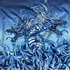 blue dragons 2000's shirt