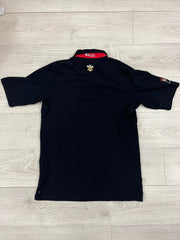 guinness wales polo