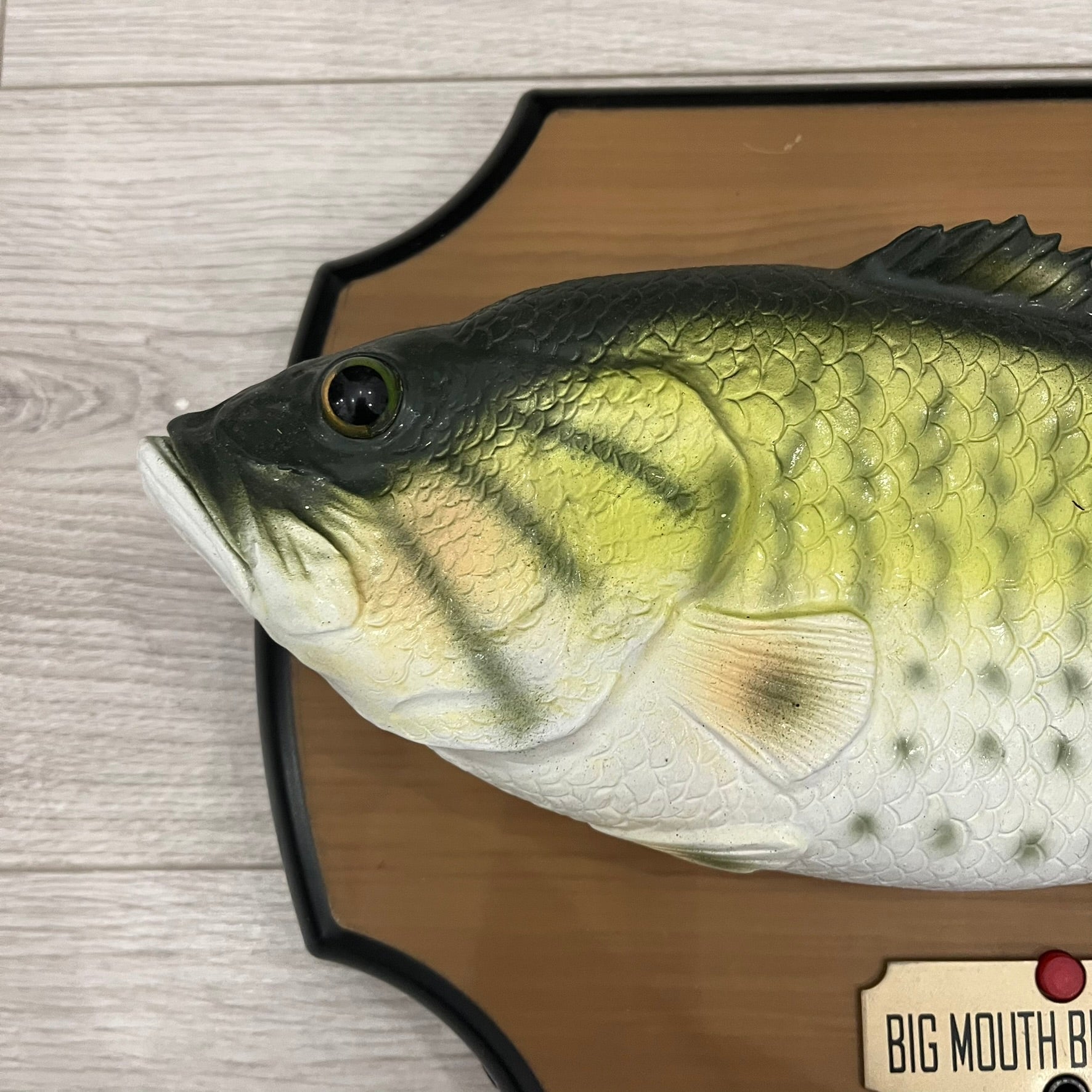 gammy 1999 big mouth billy bass singing fish