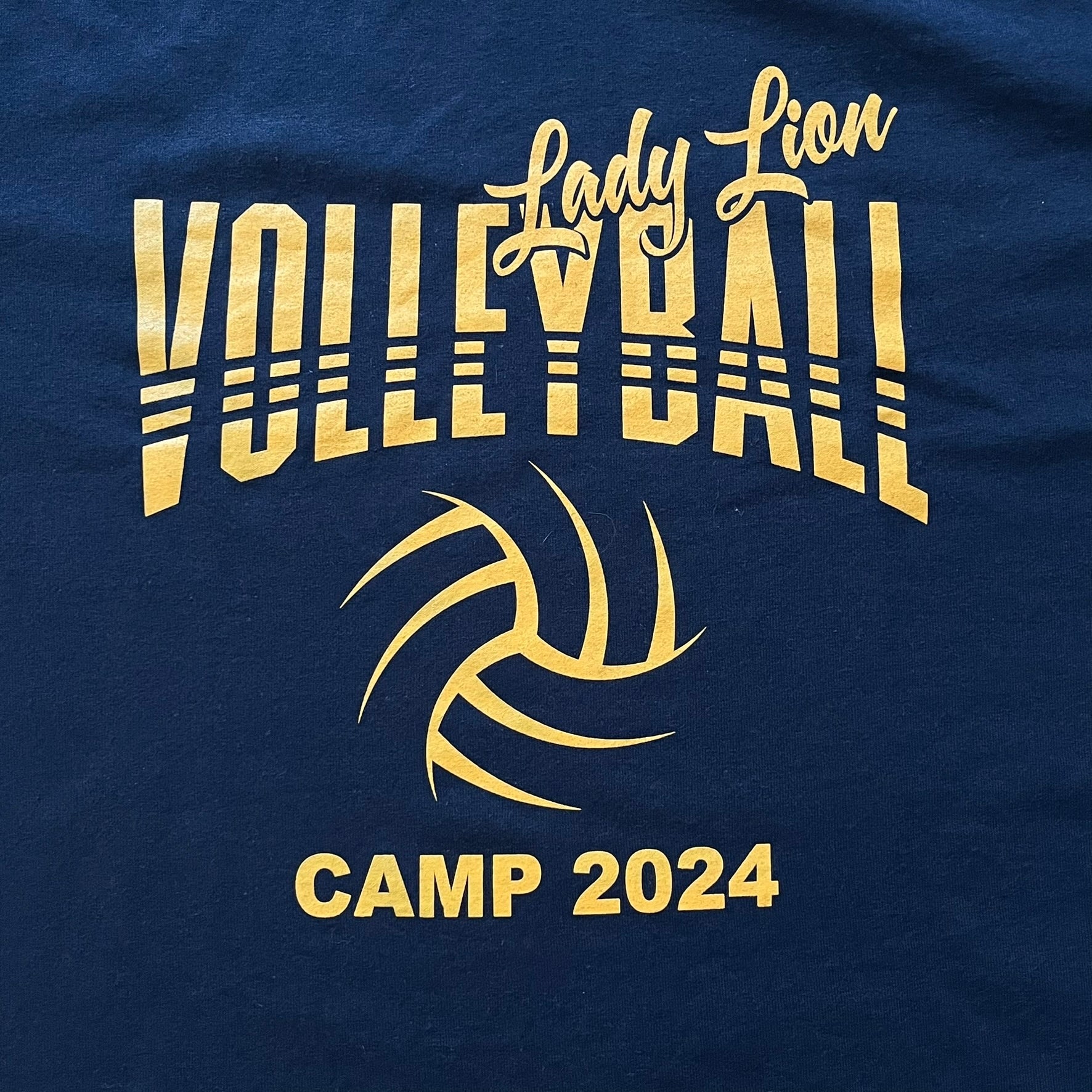 Lady Lion Volleyball 2024 Tee